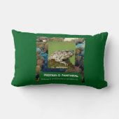 Almofada de Lombar 33 x 53,34 cm SAPO Kussen (Achterkant)