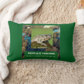 Almofada de Lombar 33 x 53,34 cm SAPO Kussen (Deken)