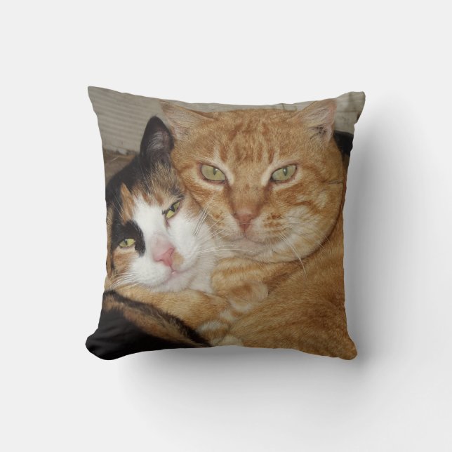 Almohada Decorativa  Gatos Kussen (Voorkant)