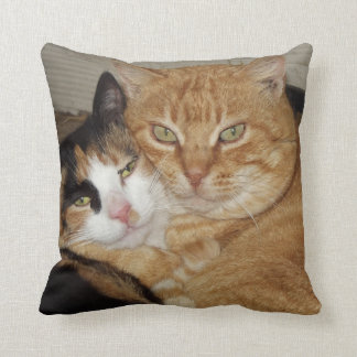 Almohada Decorativa Gatos Kussen