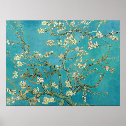 Almond Blossom, 1890, van Vincent van Gogh Poster (Voorkant)