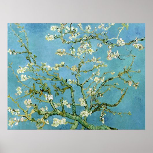 Almond Blossom Branches (F671) Van Gogh Fine Art Poster (Voorkant)