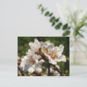 Almond Blossom Briefkaart (Staand voorkant)