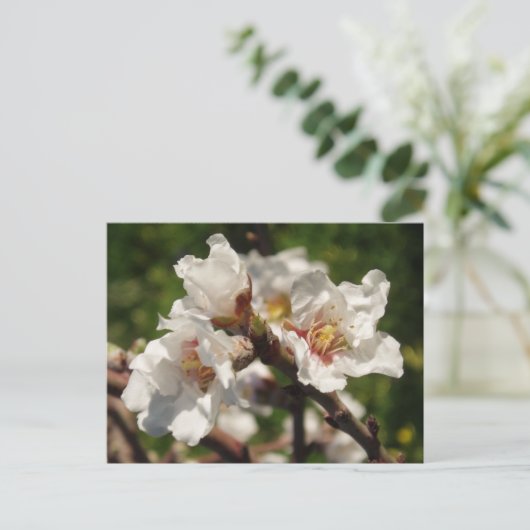 Almond Blossom Briefkaart (Staand voorkant)