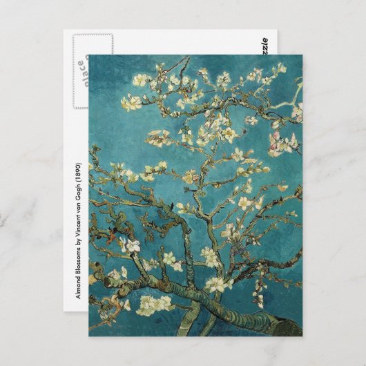 Almond Blossom Briefkaart (Voorkant / Achterkant)
