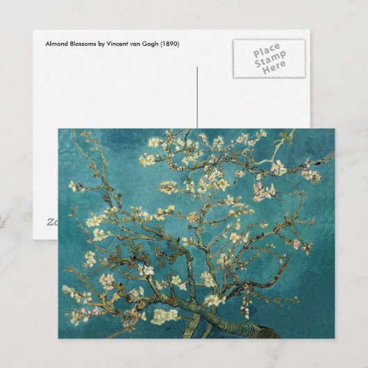 Almond Blossom Briefkaart (Voorkant / Achterkant)