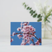 Almond Blossom Briefkaart (Staand voorkant)
