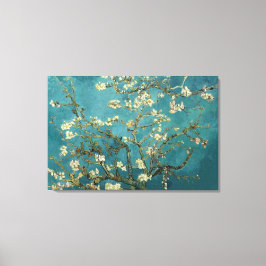 Almond Blossom Canvas