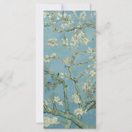 Almond Blossom door Vincent Van Gogh Fine Art (Voorkant)