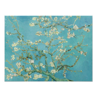 Almond Blossom door Vincent Van Gogh Fine Art Foto Afdruk