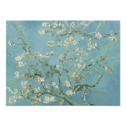 Almond Blossom door Vincent Van Gogh Fine Art Foto Afdruk (Voorkant)