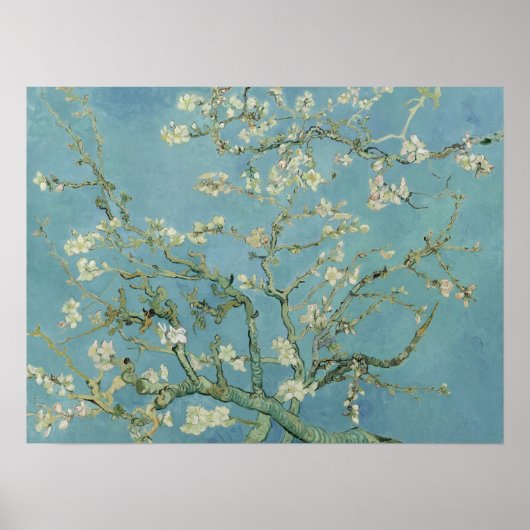 Almond Blossom door Vincent Van Gogh Fine Art Poster (Voorkant)