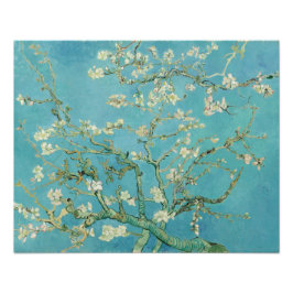 Almond Blossom door Vincent van Gogh Foto Afdruk