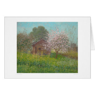 Almond Blossom en Wild Mustard (1152)