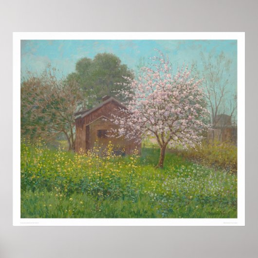 Almond Blossom en Wild Mustard (1152) Poster (Voorkant)
