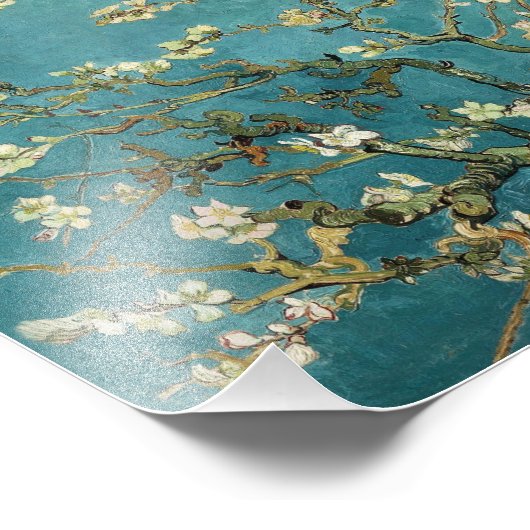 Almond Blossom Foto Afdruk (Hoek)