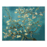 Almond Blossom