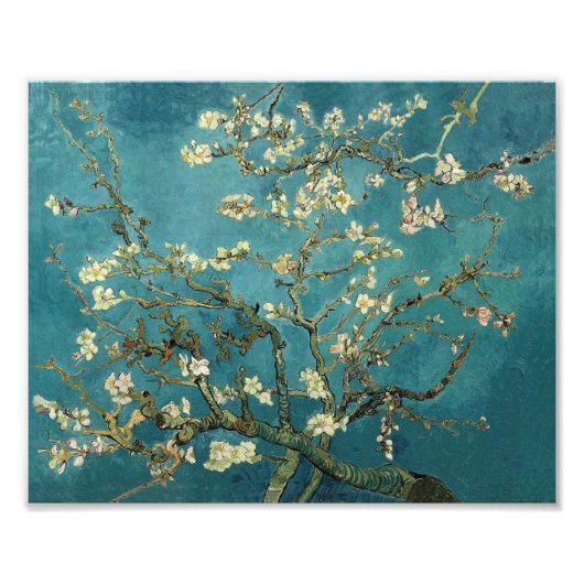 Almond Blossom Foto Afdruk (Voorkant)