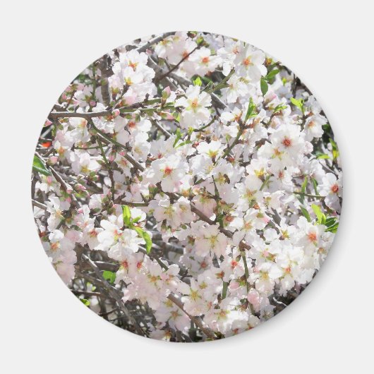 Almond blossom magnet (Voorkant)