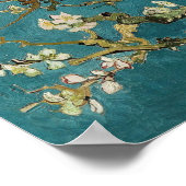 Almond Blossom Poster (Hoek)