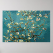 Almond Blossom Poster (Voorkant)