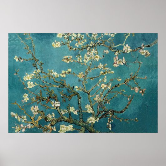 Almond Blossom Poster (Voorkant)