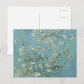 Almond Blossom: Vincent Van Gogh Briefkaart (Voorkant / Achterkant)