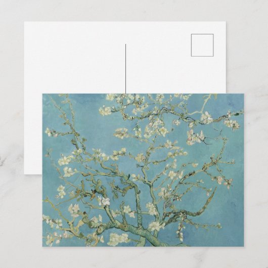 Almond Blossom: Vincent Van Gogh Briefkaart (Voorkant / Achterkant)