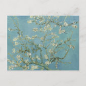 Almond Blossom: Vincent Van Gogh Briefkaart (Voorkant)