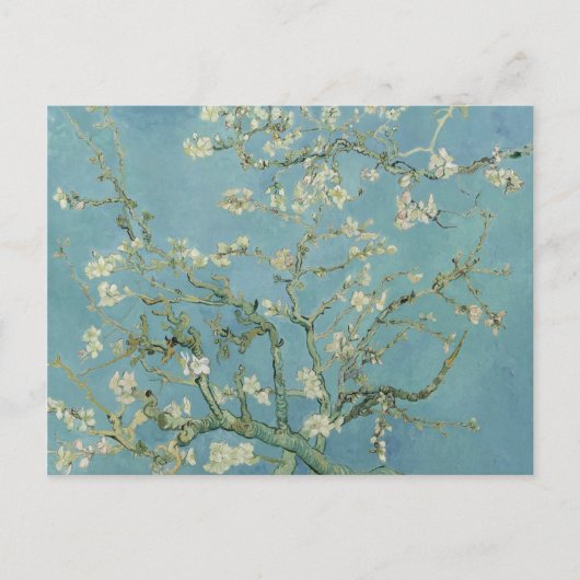 Almond Blossom: Vincent Van Gogh Briefkaart (Voorkant)