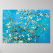 Almond Blossom Vincent Van Gogh Poster (Voorkant)