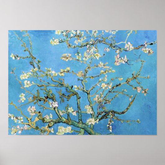 Almond Blossom Vincent Van Gogh Poster (Voorkant)