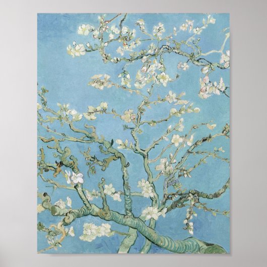 Almond Blossom Vincent Van Gogh Poster (Voorkant)