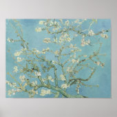 Almond Blossom Vincent van Gogh Poster (Voorkant)