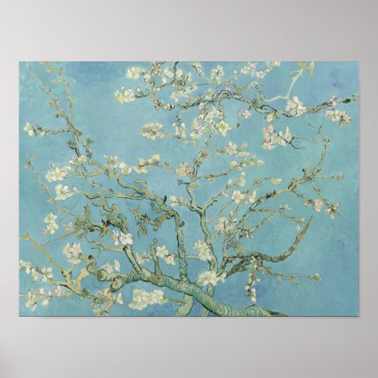 Almond Blossom Vincent van Gogh Poster (Voorkant)