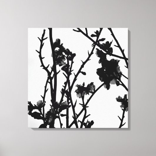 Almond Boom Overzicht Floral Botanische fotografie Canvas Afdruk (Voorkant)