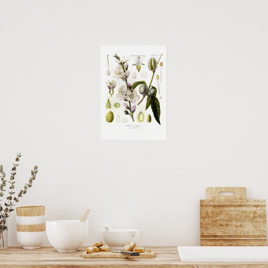 Almond Poster (Keuken)