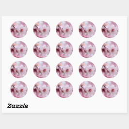 Almond [Round Seal] Ronde Sticker