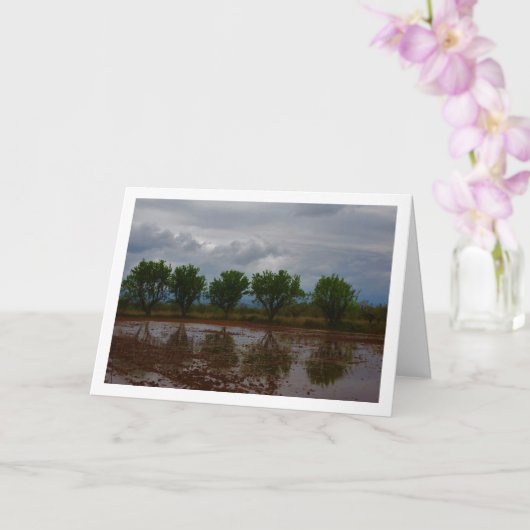 Almond Tree Landscape Card Kaart (Orchidee)