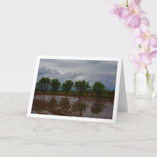 Almond Tree Landscape Card Kaart