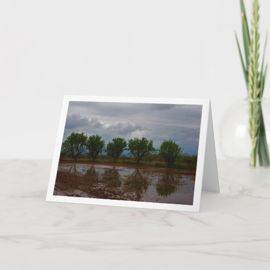 Almond Tree Landscape Card Kaart (Voorkant)