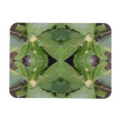 Almond Tree Patroon Magneet (Horizontaal)