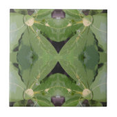 Almond Tree Patroon Tegeltje (Voorkant)