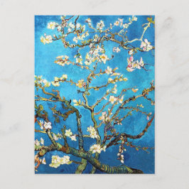 Almond Tree Van Gogh Fine Art bloeien Briefkaart