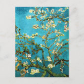 Almond Tree Van Gogh Fine Art bloeien Briefkaart (Voorkant)