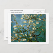 Almond Tree Van Gogh Fine Art bloeien Briefkaart (Voorkant / Achterkant)