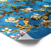 Almond Tree Van Gogh Fine Art bloeien Poster (Hoek)