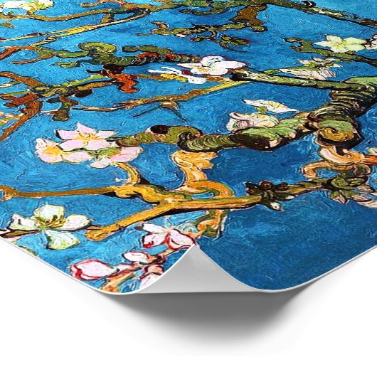 Almond Tree Van Gogh Fine Art bloeien Poster (Hoek)