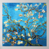Almond Tree Van Gogh Fine Art bloeien Poster (Voorkant)