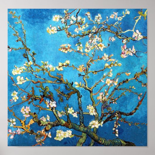 Almond Tree Van Gogh Fine Art bloeien Poster (Voorkant)
